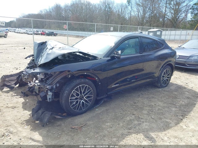 Продажа на аукционе авто 2024 Ford Mustang Mach-e Premium, vin: 3FMTK3R43RMA43977, номер лота: 44466180