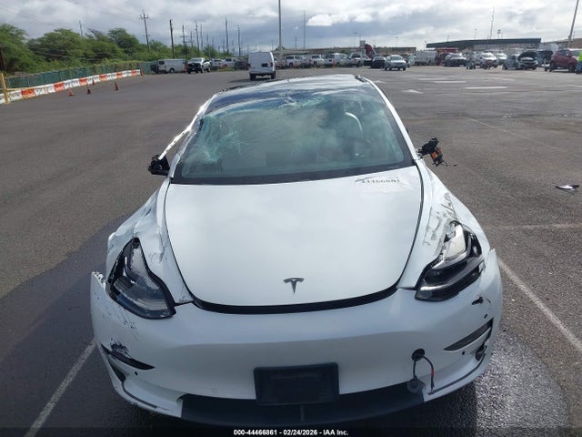 Auction sale of the 2020 Tesla Model 3, vin: 5YJ3E1EA8LF509555, lot number: 44466861