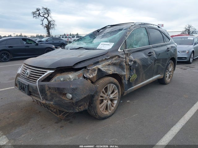44466867 :رقم المزاد ، 2T2BK1BA8EC248858 vin ، 2014 Lexus Rx 350 مزاد بيع