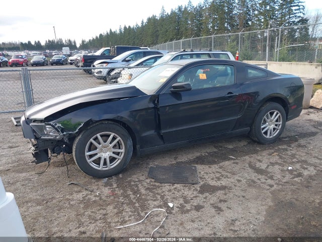 1ZVBP8AM3E5278824 Ford Mustang V6 Premium
