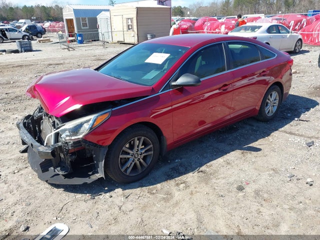5NPE24AF1GH303179 Hyundai SONATA SE