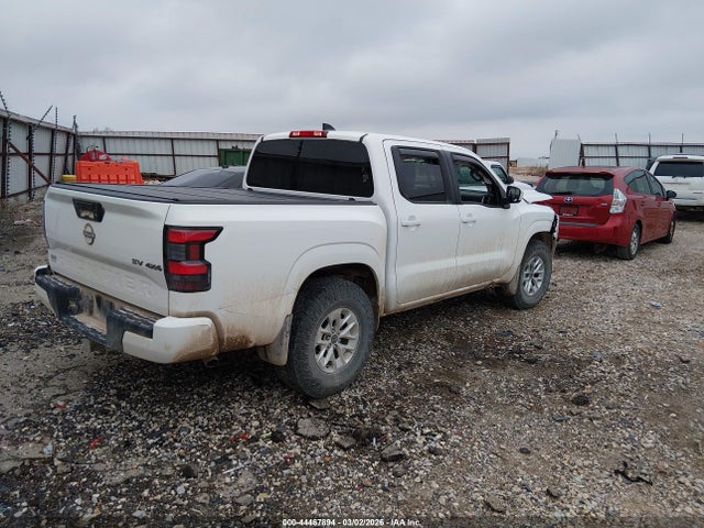 Nissan Frontier Sv 4x4 2024 1N6ED1EK4RN609874 Image 4