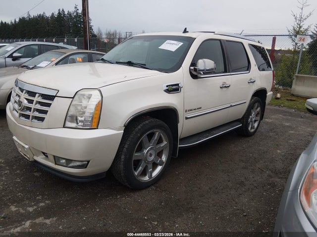2009 CADILLAC ESCALADE HYBRID 1GYFK43519R189358 Photo 1
