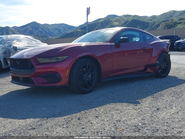 Ford Mustang Ecoboost Fastback 2025 1FA6P8TH6S5113694 Image 2