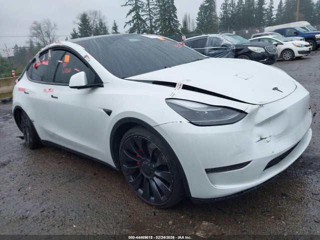 2023 TESLA MODEL Y 7SAYGDEF2PF759623 Photo 0