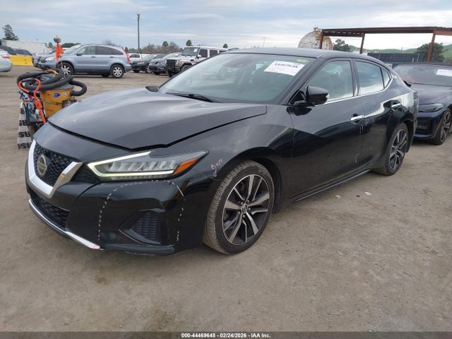 Nissan Maxima Sv Xtronic Cvt 2022 1N4AA6CV2NC503133 Image 2