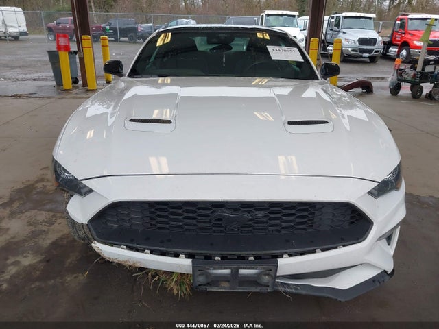 Ford Mustang Ecoboost Fastback 2021 1FA6P8TH8M5147350 Image 12