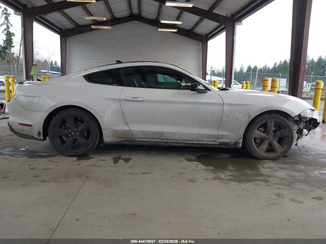 Ford Mustang Ecoboost Fastback 2021 1FA6P8TH8M5147350 Image 13