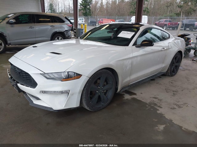 Ford Mustang Ecoboost Fastback 2021 1FA6P8TH8M5147350 Image 2