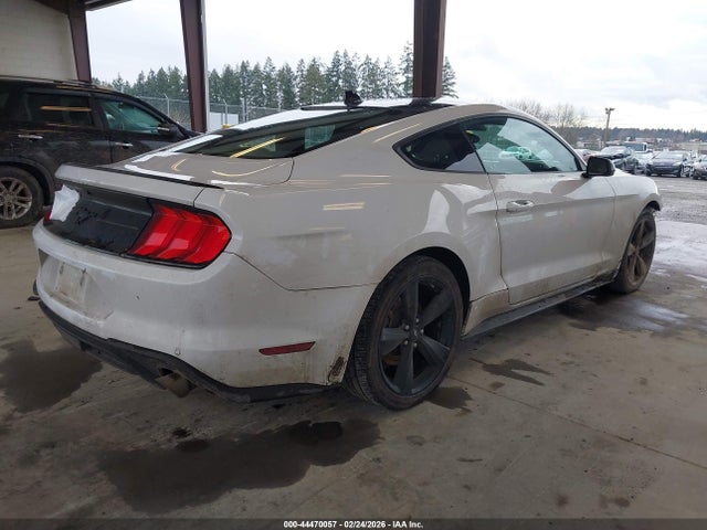 Ford Mustang Ecoboost Fastback 2021 1FA6P8TH8M5147350 Image 4