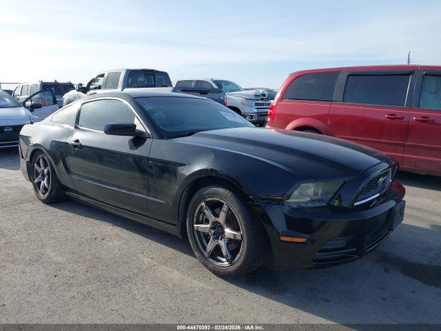 2013 FORD MUSTANG 1ZVBP8AMXD5211684