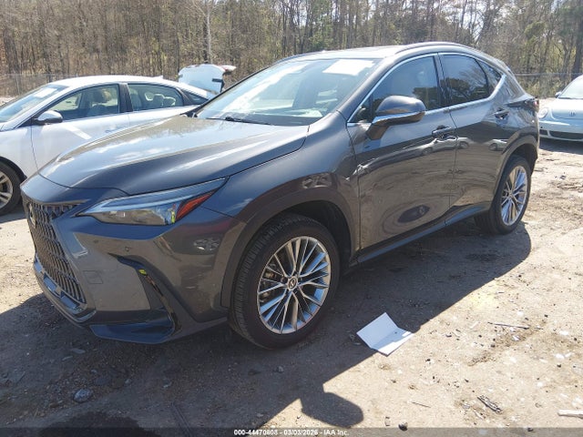 44470808 :رقم المزاد ، 2T2GGCEZ7NC005885 vin ، 2022 Lexus Nx 350 Premium مزاد بيع