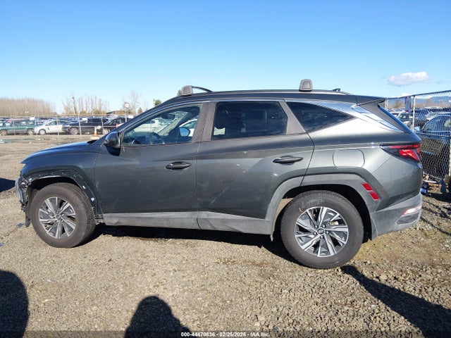 2024 Hyundai Tucson Hybrid Blue მანქანა იყიდება აუქციონზე, vin: KM8JBCD12RU222107, აუქციონის ნომერი: 44470836
