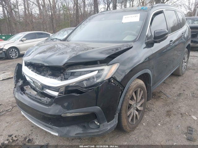 2019 Honda Pilot Ex-l მანქანა იყიდება აუქციონზე, vin: 5FNYF5H57KB041339, აუქციონის ნომერი: 44471349