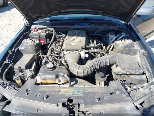 2009 FORD MUSTANG 1ZVHT85H495121389 Photo 9