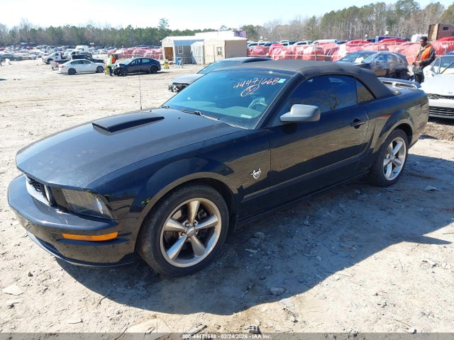 2009 FORD MUSTANG 1ZVHT85H495121389 Photo 1