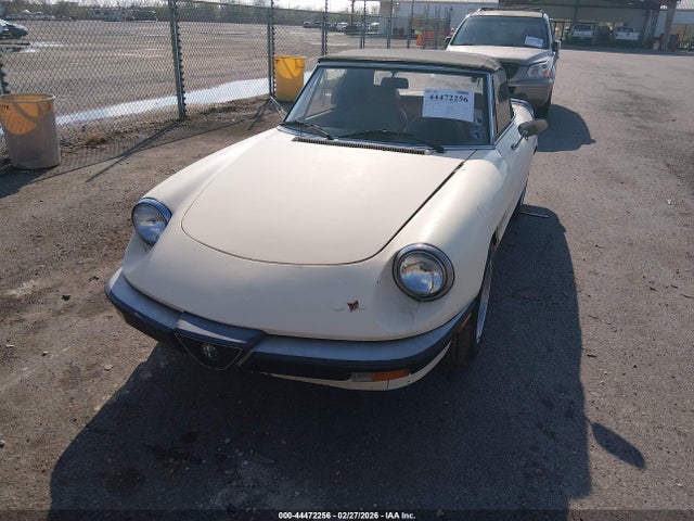 1987 ALFA ROMEO SPIDER ZARBA5647H1045364 Photo 1
