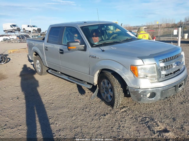 2013 FORD F-150 1FTFW1EF7DKE28489