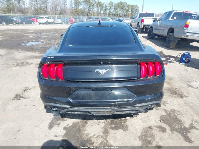Ford Mustang Ecoboost Fastback 2020 1FA6P8TH0L5149754 Image 16