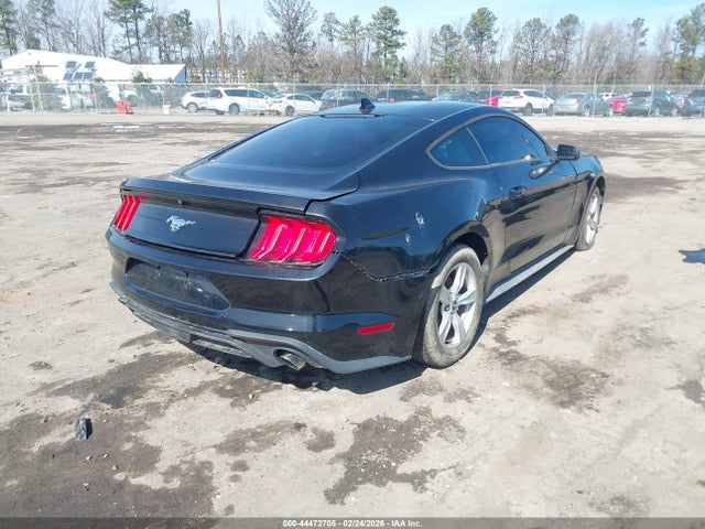 Ford Mustang Ecoboost Fastback 2020 1FA6P8TH0L5149754 Image 4