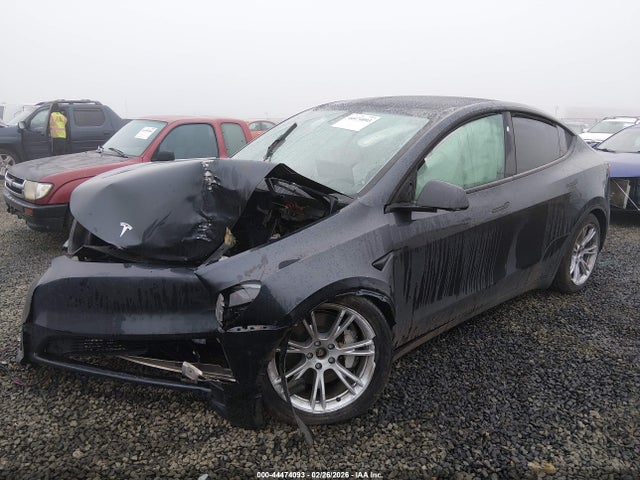 2024 TESLA MODEL Y 7SAYGDEE2RF069137 Photo 1