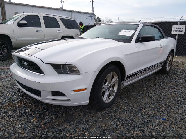 2014 FORD MUSTANG 1ZVBP8EM0E5227081 Photo 1