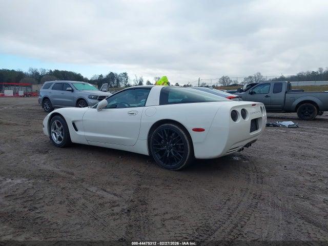 2002 CHEVROLET CORVETTE 1G1YY22G425122716 Photo 2