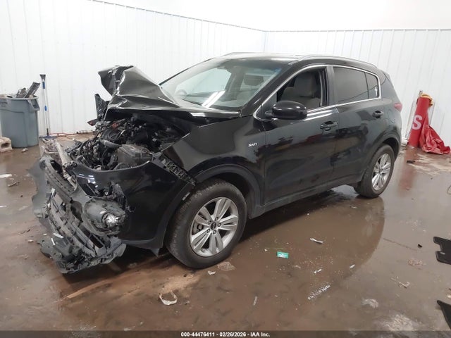 Продаж на аукціоні авто 2017 Kia Sportage Lx, vin: KNDPMCAC9H7184435, номер лоту: 44476411