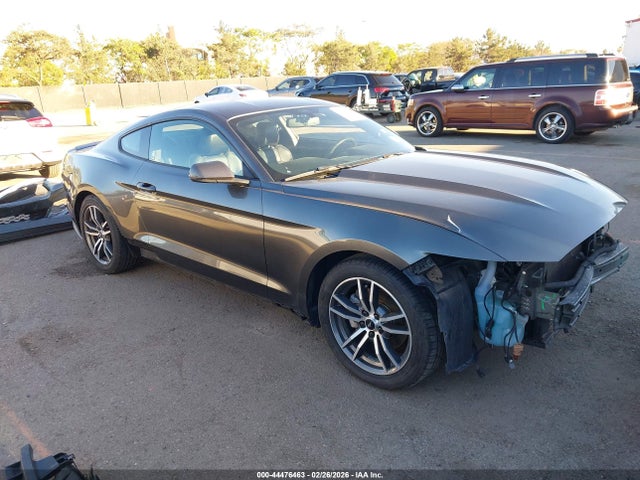 Ford Mustang Ecoboost 2015 1FA6P8TH1F5434631 main image