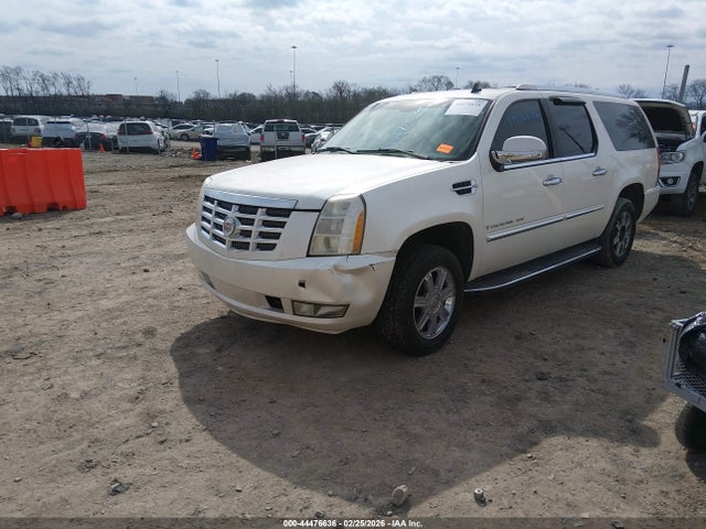 2007 CADILLAC ESCALADE ESV 1GYFK66857R320242 Photo 1