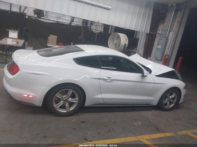 Ford Mustang Ecoboost Fastback 2020 1FA6P8TH9L5130734 Image 12