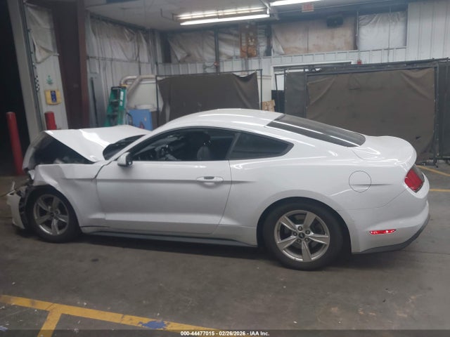 Ford Mustang Ecoboost Fastback 2020 1FA6P8TH9L5130734 Image 13