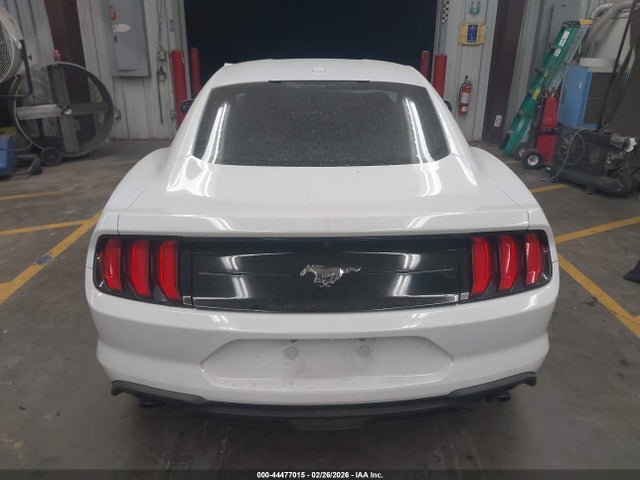 Ford Mustang Ecoboost Fastback 2020 1FA6P8TH9L5130734 Image 15