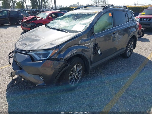 JTMRJREV7JD232506 Toyota Rav4 Hybrid Xle