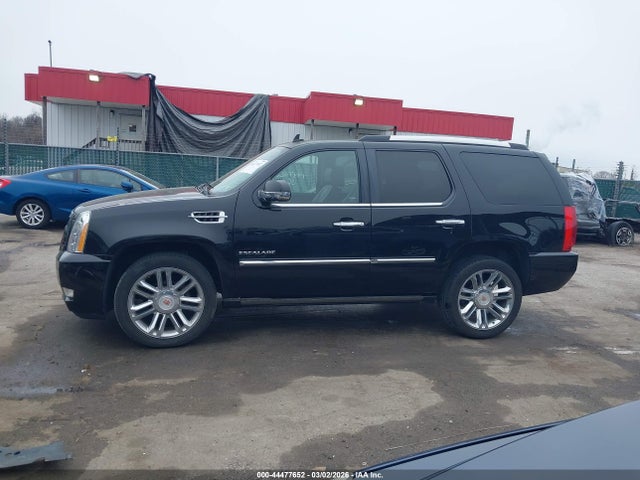 2014 Cadillac Escalade Platinum მანქანა იყიდება აუქციონზე, vin: 1GYS4DEF5ER156145, აუქციონის ნომერი: 44477652