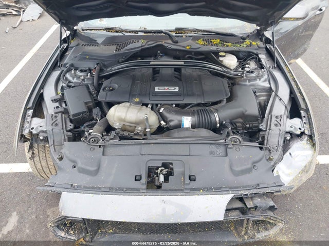 1FA6P8CF1N5131717 Ford Mustang Gt Fastback