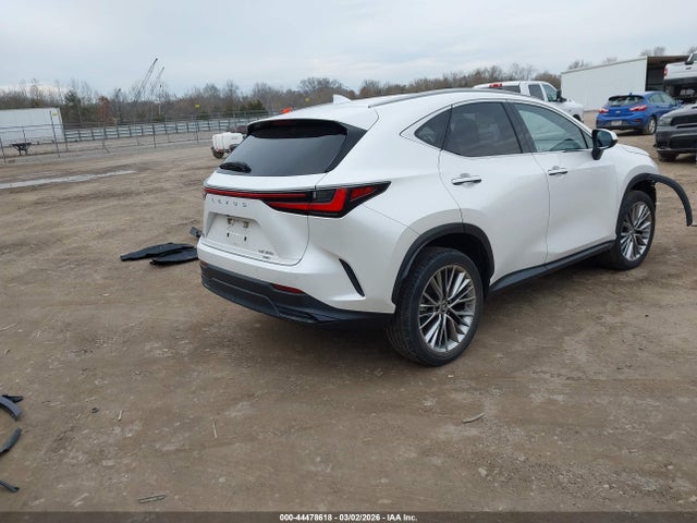 2022 LEXUS NX 350 JTJGGCEZ4N5001596 Photo 3