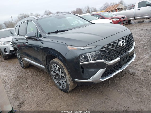 2023 HYUNDAI SANTA FE 5NMS5DAL2PH626802