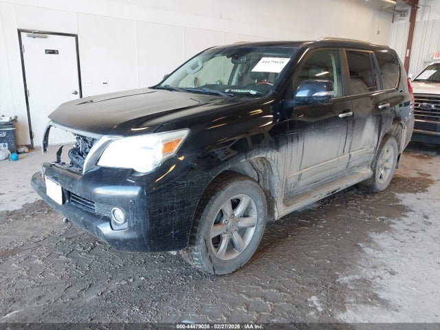 2013 Lexus Gx 460 Premium მანქანა იყიდება აუქციონზე, vin: JTJJM7FX9D5052836, აუქციონის ნომერი: 44479038