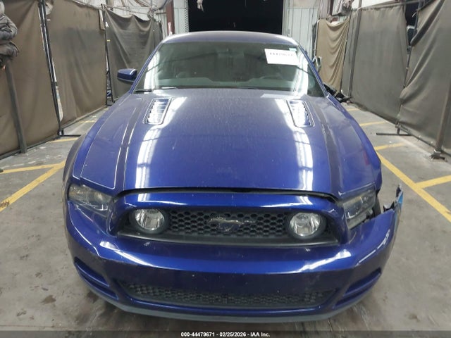 1ZVBP8CF9E5327989 Ford MUSTANG GT