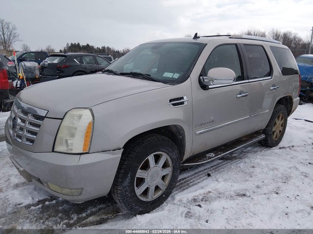 2007 CADILLAC ESCALADE 1GYFK63847R256134 Photo 1