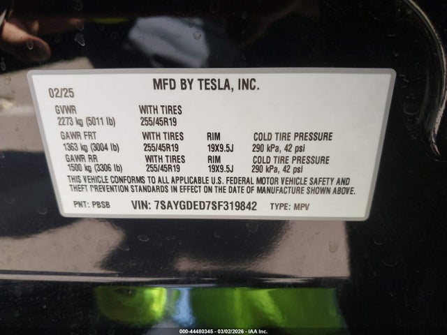 2025 TESLA MODEL Y 7SAYGDED7SF319842 Photo 8