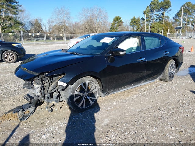 Nissan Maxima 3.5 Sl 2016 1N4AA6AP7GC904443 Image 2