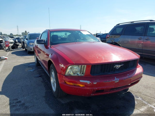 2006 FORD MUSTANG 1ZVFT80N065156799