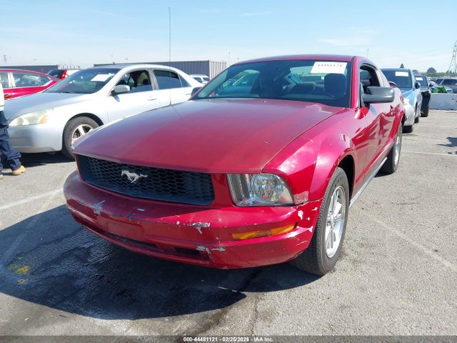 2006 FORD MUSTANG 1ZVFT80N065156799 Photo 1