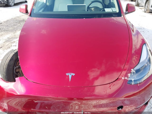 2025 TESLA MODEL Y 7SAYGDEE6SF302295 Photo 9