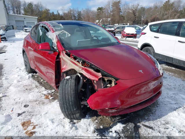 2025 TESLA MODEL Y 7SAYGDEE6SF302295 Photo 5