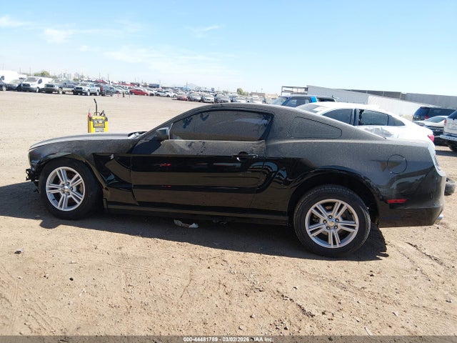 Продаж на аукціоні авто 2013 Ford Mustang V6, vin: 1ZVBP8AM7D5251561, номер лоту: 44481789