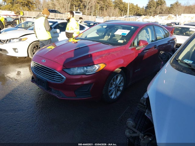 Ford Fusion Hybrid Se 2019 3FA6P0LU0KR243692 Image 2