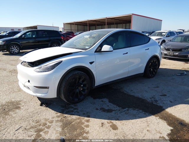 2023 TESLA MODEL Y 7SAYGAEEXPF792861 Photo 1